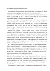 Įmonių restruktūrizavimas Lietuvoje 3 puslapis