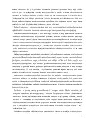 Įmonių restruktūrizavimas Lietuvoje 8 puslapis