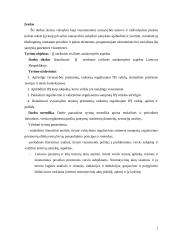 Individualios įmonės teisinis reguliavimas 2 puslapis