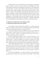 Individualios įmonės teisinis reguliavimas 11 puslapis