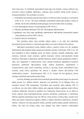 Individualios įmonės teisinis reguliavimas 13 puslapis