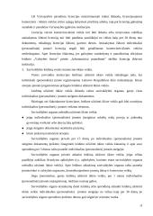 Individualios įmonės teisinis reguliavimas 18 puslapis