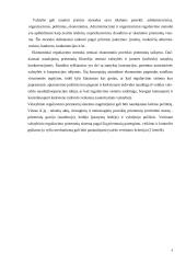 Individualios įmonės teisinis reguliavimas 6 puslapis