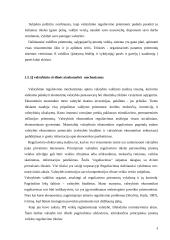 Individualios įmonės teisinis reguliavimas 8 puslapis