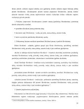 IĮ perregistravimas į UAB 10 puslapis