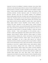 Juridiniai asmenys teisėje 19 puslapis