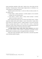 Juridinio asmens filialas ir atstovybės 13 puslapis