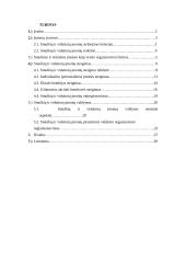 Smulkių ir vidutinių įmonių steigimas ir valdymas  2 puslapis