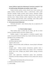 Smulkių ir vidutinių įmonių steigimas ir valdymas  17 puslapis