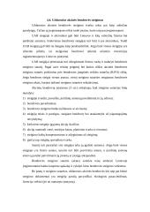 Smulkių ir vidutinių įmonių steigimas ir valdymas  19 puslapis