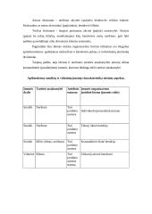 Smulkių ir vidutinių įmonių steigimas ir valdymas  9 puslapis