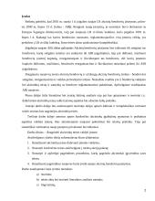 Akcininkų teisės valdyti įmonę 2 puslapis