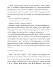 Akcininkų teisės valdyti įmonę 12 puslapis