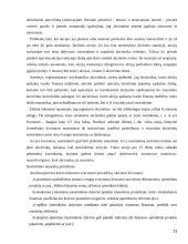 Akcininkų teisės valdyti įmonę 13 puslapis