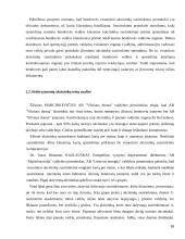 Akcininkų teisės valdyti įmonę 16 puslapis