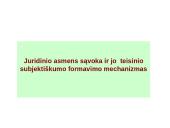 Juridiniai asmenys skaidrės 12 puslapis