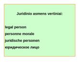 Juridiniai asmenys skaidrės 3 puslapis