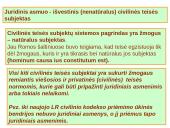 Juridiniai asmenys skaidrės 4 puslapis