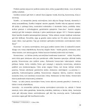 Privataus juridinio asmens organai ir jų kompetencijos 14 puslapis