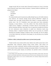 Juridinio asmens ribotos atsakomybės prezumpcijos 16 puslapis