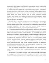 Juridinio asmens ribotos atsakomybės prezumpcijos 3 puslapis