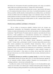 Konkurencija ir koncentracijų instituto santykis 16 puslapis