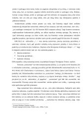 Konkurencija ir koncentracijų instituto santykis 5 puslapis