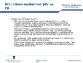 Draudžiami susitarimai ir koncentracijų kontrolė pagal EB ir LR konkurencijos teisę  13 puslapis