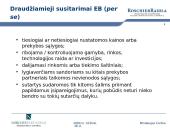 Draudžiami susitarimai ir koncentracijų kontrolė pagal EB ir LR konkurencijos teisę  15 puslapis