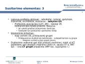 Draudžiami susitarimai ir koncentracijų kontrolė pagal EB ir LR konkurencijos teisę  20 puslapis