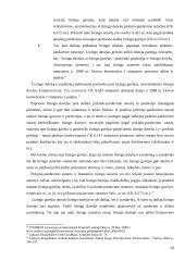 Lizingas kaip teisinis santykis ir jo reglamentavimas 13 puslapis