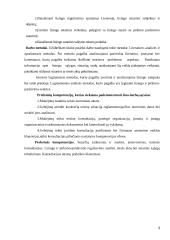 Lizingas kaip teisinis santykis ir jo reglamentavimas 3 puslapis