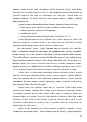 Lizingas ir lizingo teisinis reguliavimas  13 puslapis