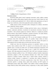 Lizingas ir lizingo teisinis reguliavimas  19 puslapis