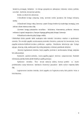 Lizingas ir lizingo teisinis reguliavimas  3 puslapis