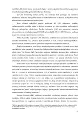 Geografinių nuorodų teisinė apsauga  11 puslapis