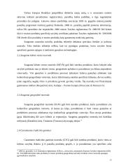 Geografinių nuorodų teisinė apsauga  13 puslapis