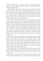 Geografinių nuorodų teisinė apsauga  16 puslapis