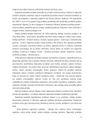 Geografinių nuorodų teisinė apsauga  18 puslapis