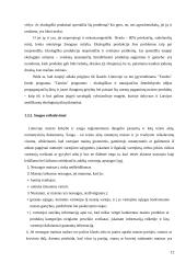 Produktų saugos įstatymo taikymo problematika 12 puslapis