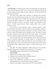 Teisinio atstovavimo instituto reglamentavimas  2 puslapis