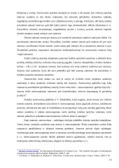 Teisinio atstovavimo instituto reglamentavimas  13 puslapis