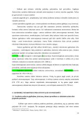 Teisinio atstovavimo instituto reglamentavimas  19 puslapis