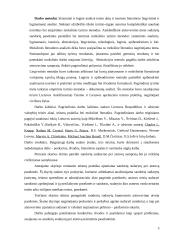 Teisinio atstovavimo instituto reglamentavimas  3 puslapis