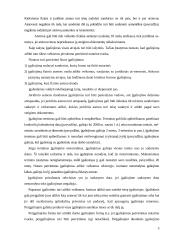 Teisinio atstovavimo instituto reglamentavimas  5 puslapis