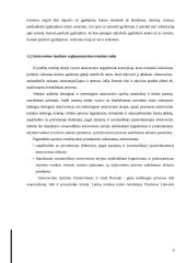 Teisinio atstovavimo instituto reglamentavimas  6 puslapis