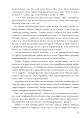 Teisinio atstovavimo instituto reglamentavimas  10 puslapis