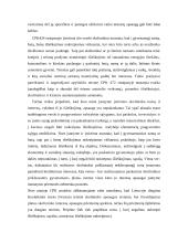 Turtas ir pinigų sumos, į kuriuos negali būti nukreiptas išieškojimas 4 puslapis