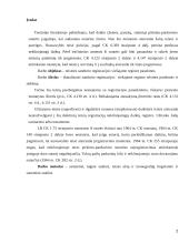 Sutarčių registravimas viešajame registre  2 puslapis