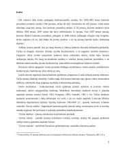 Viešasis interesas bankroto bylose 2 puslapis